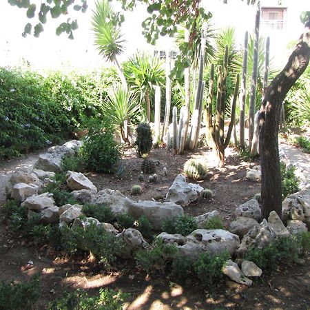 B&B Solacium Matera Zewnętrze zdjęcie