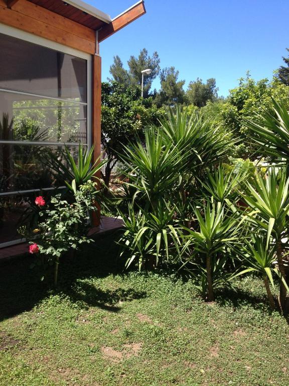 B&B Solacium Matera Zewnętrze zdjęcie