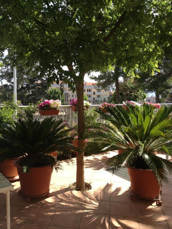 B&B Solacium Matera Zewnętrze zdjęcie